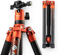 Fotopro Carbon Fiber Tripod 60 Inch 360 Degree Ball Head Quick Release Plate by Fotopro