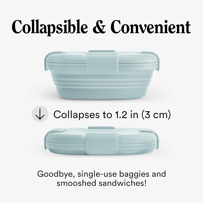 STOJO Collapsible Sandwich Box – 24oz, Reusable Food Storage Container - Image 2