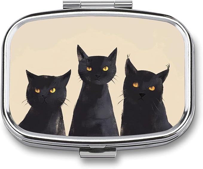 Metal 2 Compartment Pill Organizer Travel Friendly Portable Compact Pill Box by Choosetheproductsyoulike