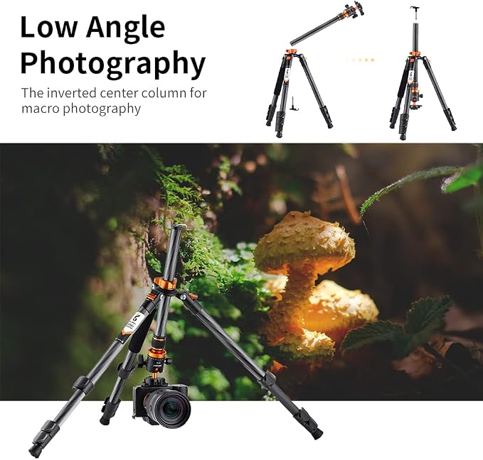 K&F Concept 63" Carbon Fiber Camera Tripods, D254C1+BH-28L Compact Tripod - Image 7