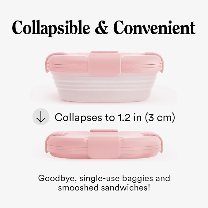 STOJO Collapsible Sandwich Box – 24oz, Reusable Food Storage Container - Image 2