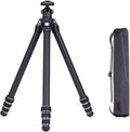 FALCAM TreeRoot F38 Quick Lock Lite Carbon Fiber Travel Tripod by Kongeeker