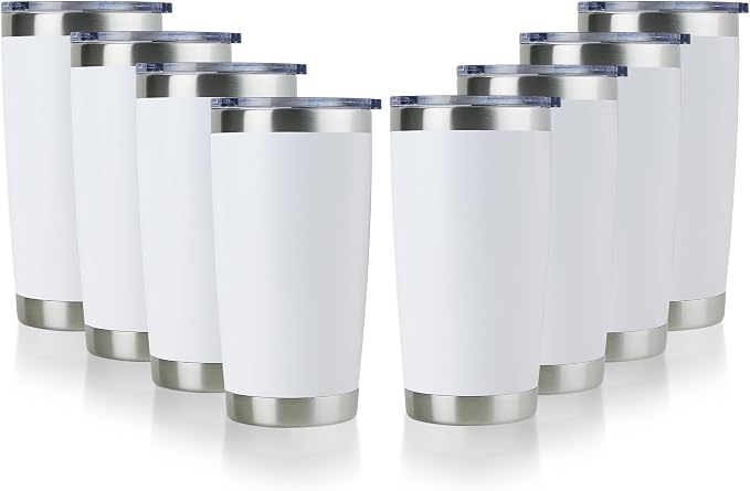 DOMICARE 20oz Stainless Steel Tumbler Bulk by VisittheDOMICARE