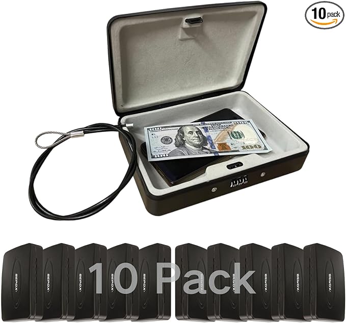 SEPOX 10Pcs Portable Security Case Lock Box Steel, Personal Travel Safe Storage by SEPOX
