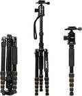 ZoMei Z669 Magnesium Aluminum Alloy Travel Camera Tripod by BONFOTO