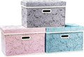 PRANDOM Larger Collapsible Storage Cubes by Prandom