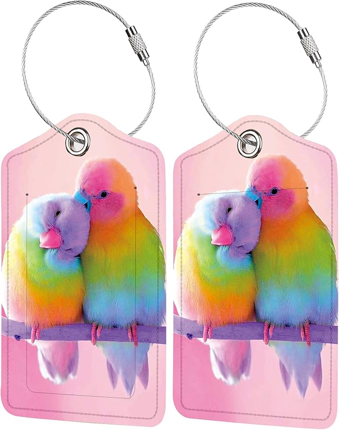 2 Pack Luggage Tag for Suitcase, Cute Unique Leather Bag Tags Identifiers by BestEioyo