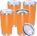 20oz Tumbler Stainless Steel Tumbler Cup by AUWBON