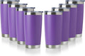 DOMICARE 20oz Stainless Steel Tumbler Bulk by VisittheDOMICARE