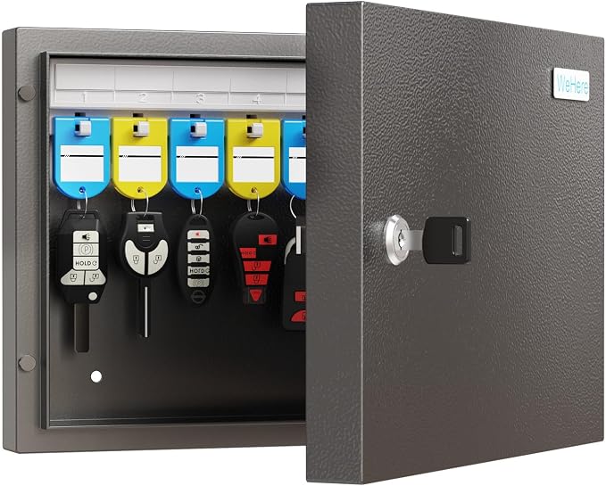 16-Key Cabinet Organizer, Key Lock Box Secured Key Holder by DiDiHere