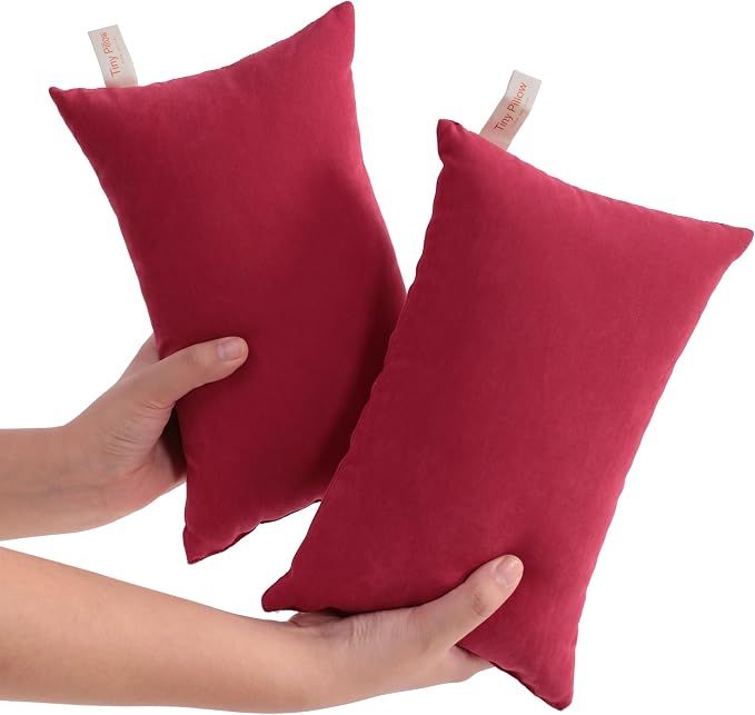 NTBAY Tiny Pillows, Down Alternative 7"x11" Microfiber Mini Pillow by NTBAY