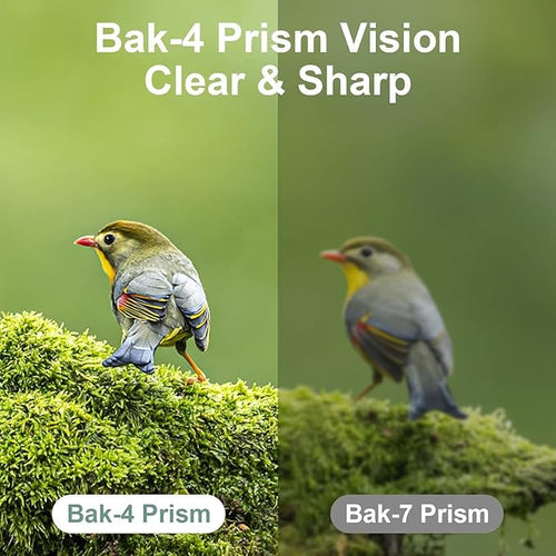 12X25 Mini Pocket Binoculars for Adults Kids, Small Compact Binoculars for Bird - Image 2