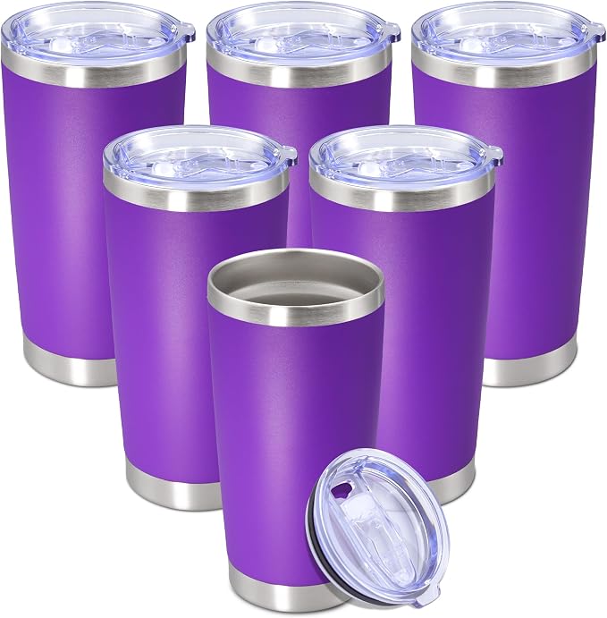 20 oz Tumbler with lid Double Wall Vacuum Insulated Tumblers Stainless Steel by Providethebestproducts