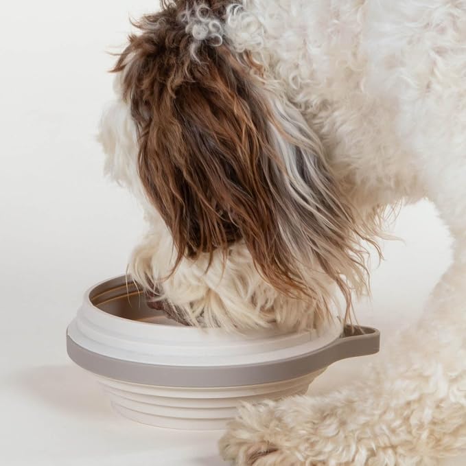 Nomad Large Collapsible Dog Bowl - Image 2