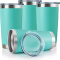 DOMICARE 20oz Stainless Steel Tumbler Bulk by VisittheDOMICARE