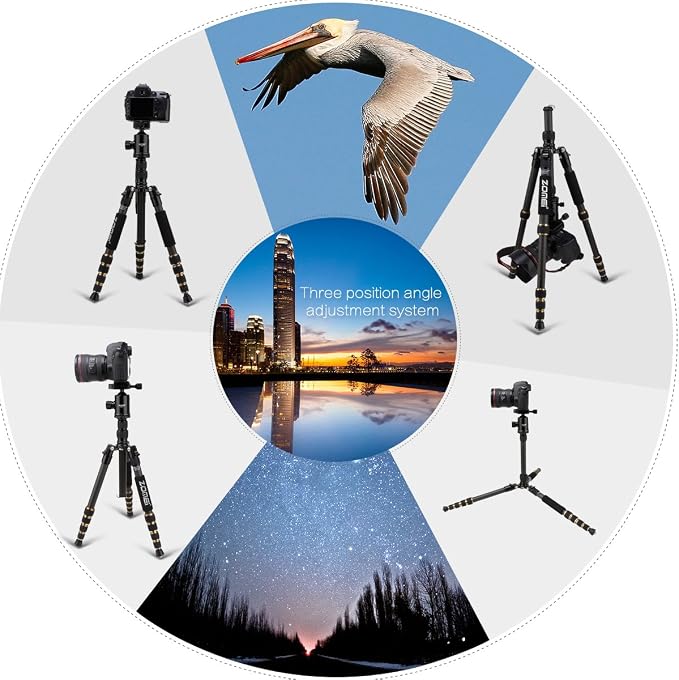 ZOMEI Z669C Carbon Fiber Portable Tripod - Image 3