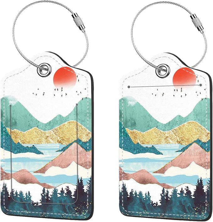 2 Pcs Luggage Tags for Suitcases, PU Leather Cruise Ship Luggage Tags by Anikathy