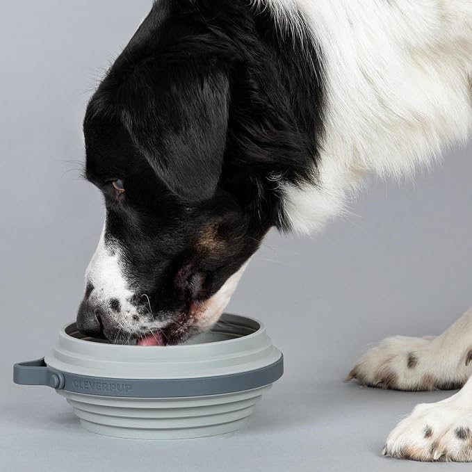 Nomad Large Collapsible Dog Bowl - Image 2
