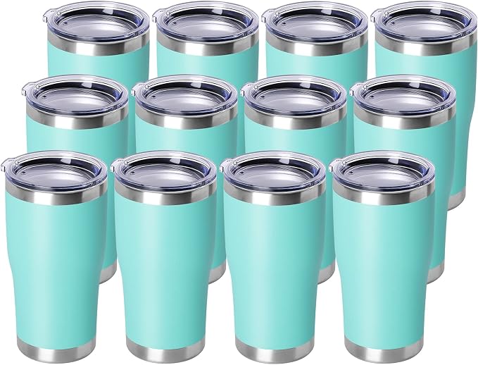 DOMICARE 20oz Tumbler with Lid Stainless Steel Tumblers Bulk, Double Wall by VisittheDOMICARE