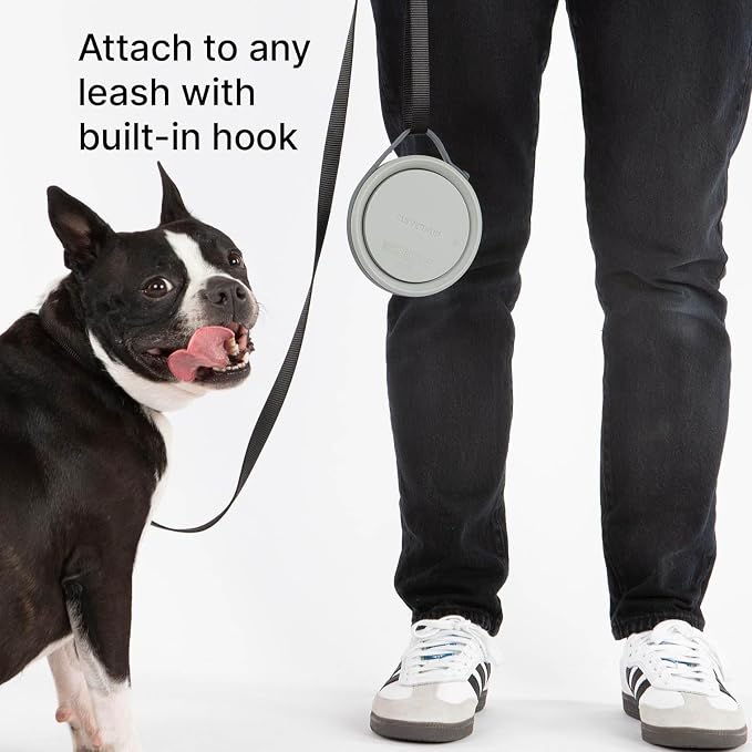 Nomad Small Collapsible Dog Bowl - Image 6