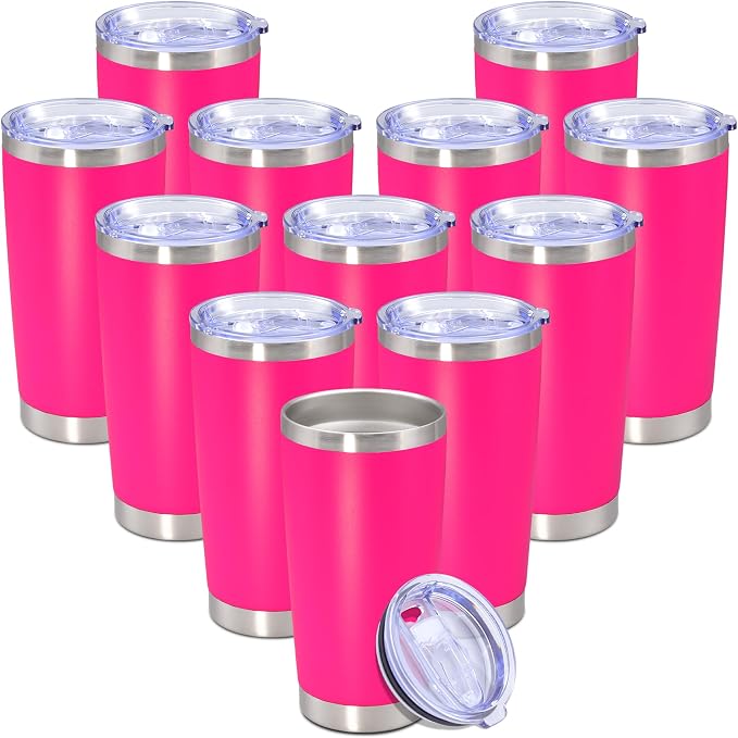 20 oz Tumbler with lid Double Wall Vacuum Insulated Tumblers Stainless Steel by Providethebestproducts