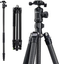 Fotopro Carbon Fiber Tripod 64 Inch 360 Degree Ball Head Quick Release Plate by Fotopro