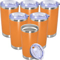 20 oz Tumbler with lid Double Wall Vacuum Insulated Tumblers Stainless Steel by Providethebestproducts