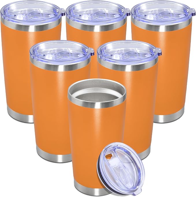 20 oz Tumbler with lid Double Wall Vacuum Insulated Tumblers Stainless Steel by Providethebestproducts