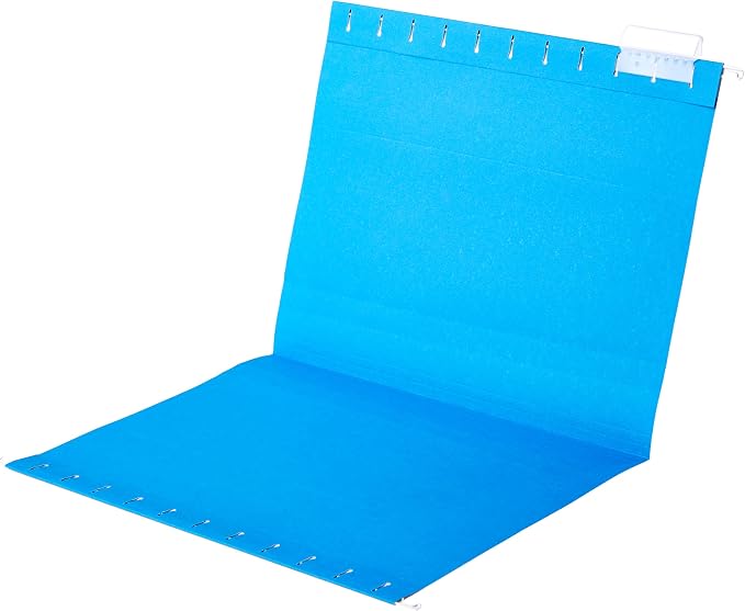 Amazon Basics Hanging Organizer File Folders - Image 4