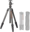 Portable Travel Tripod, Carbon Fiber Camera Tripod by Leofoto