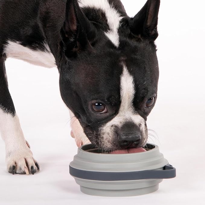 Nomad Small Collapsible Dog Bowl - Image 2