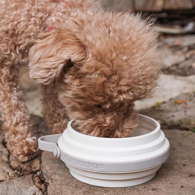 Nomad Small Collapsible Dog Bowl - Image 3