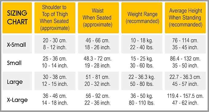 Small Blue, Lightweight, Portable Car Seat - Image 4