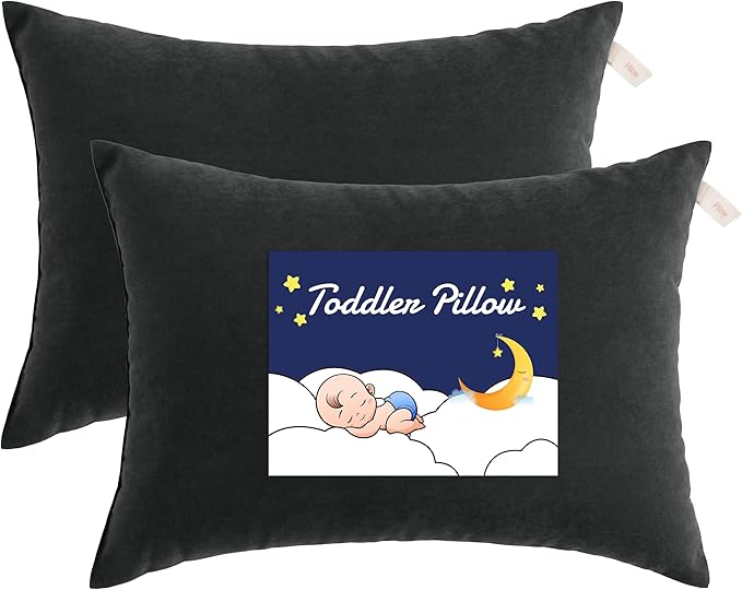 NTBAY Toddler Pillows, Down Alternative 13"x18" Pillow, Machine Washable by NTBAY