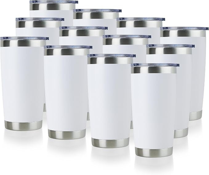 DOMICARE 20oz Stainless Steel Tumbler Bulk by VisittheDOMICARE