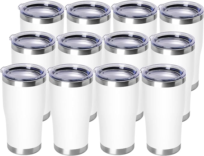 DOMICARE 20oz Tumbler with Lid Stainless Steel Tumblers Bulk, Double Wall by VisittheDOMICARE