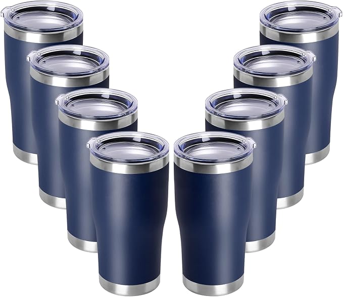 DOMICARE 20oz Tumbler with Lid Stainless Steel Tumblers Bulk, Double Wall by VisittheDOMICARE