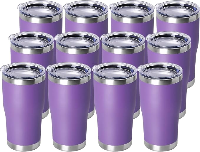 DOMICARE 20oz Tumbler with Lid Stainless Steel Tumblers Bulk, Double Wall by VisittheDOMICARE
