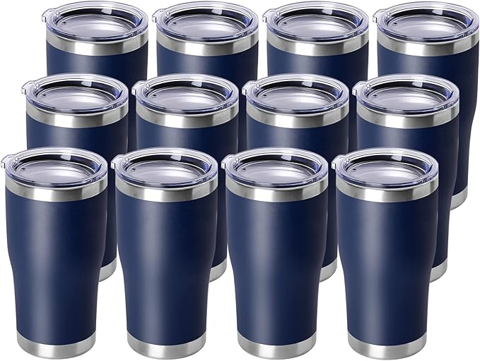 DOMICARE 20oz Tumbler with Lid Stainless Steel Tumblers Bulk, Double Wall by VisittheDOMICARE