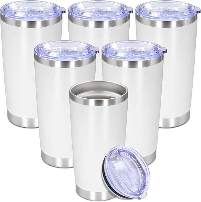 20 oz Tumbler with lid Double Wall Vacuum Insulated Tumblers Stainless Steel by Providethebestproducts