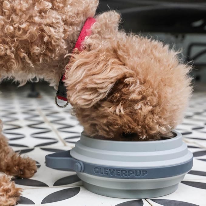 Nomad Small Collapsible Dog Bowl - Image 3