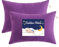 NTBAY Toddler Pillows, Down Alternative 13"x18" Pillows, Machine Washable by NTBAY