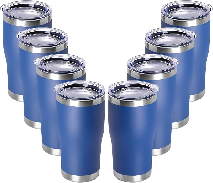 DOMICARE 20oz Tumbler with Lid Stainless Steel Tumblers Bulk, Double Wall by VisittheDOMICARE