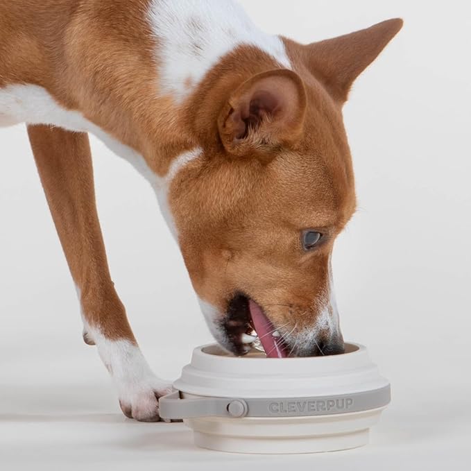 Nomad Small Collapsible Dog Bowl - Image 2