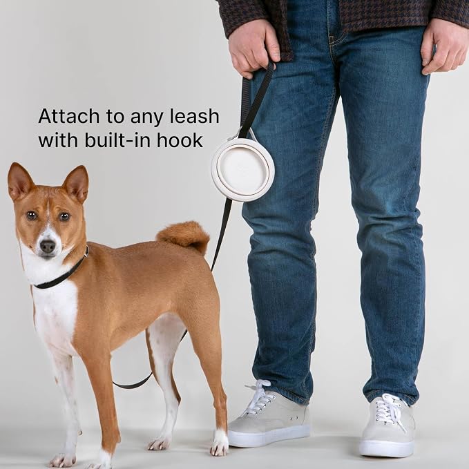 Nomad Small Collapsible Dog Bowl - Image 6