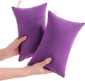 NTBAY Tiny Pillows, Down Alternative 7"x11" Microfiber Mini Pillows by NTBAY