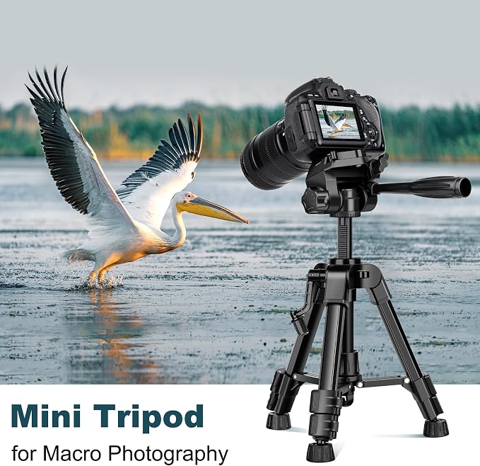 JOILCAN Mini Tripod for Camera, Portable Travel Tripod w/Phone & Tablet Holder - Image 7