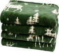 PHF Printed Fleece Blanket Queen Size, No Shed No Pilling Ultra Soft Plush Cozy by PHF
