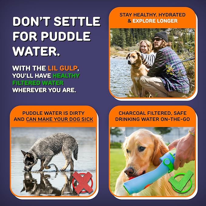 Lil Gulp Dog Water Bottle | Advanced Carbon Filtration - Image 6