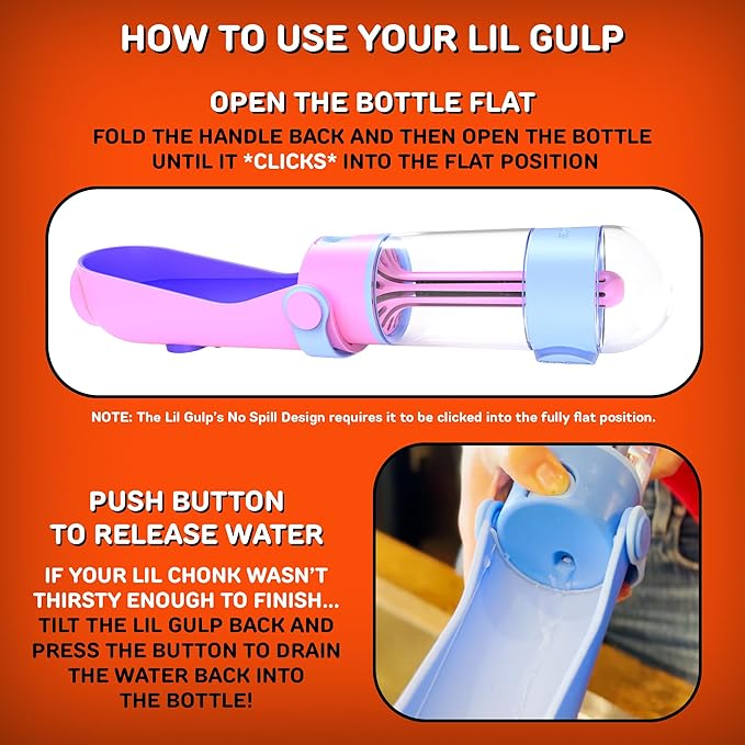 Lil Gulp Dog Water Bottle | Advanced Carbon Filtration - Image 4